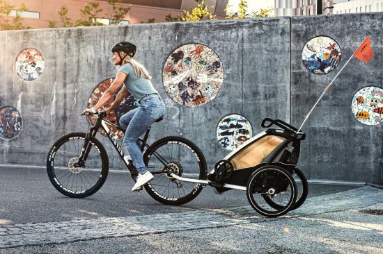 Thule Chariot Lite 1 - Agave