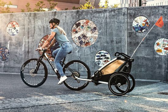 Thule Chariot Lite 2 - Agave