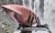 Thule Hullaport XTR