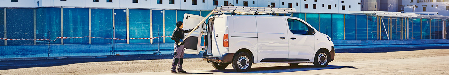 Picture for category Van Ladder Racks