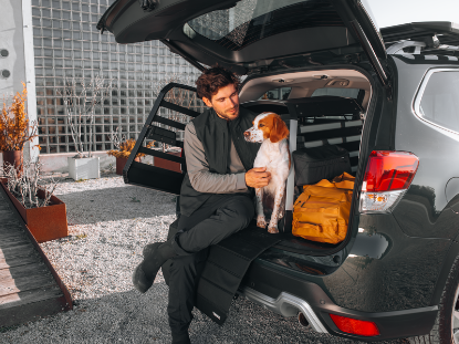 thule allax m dog car crate