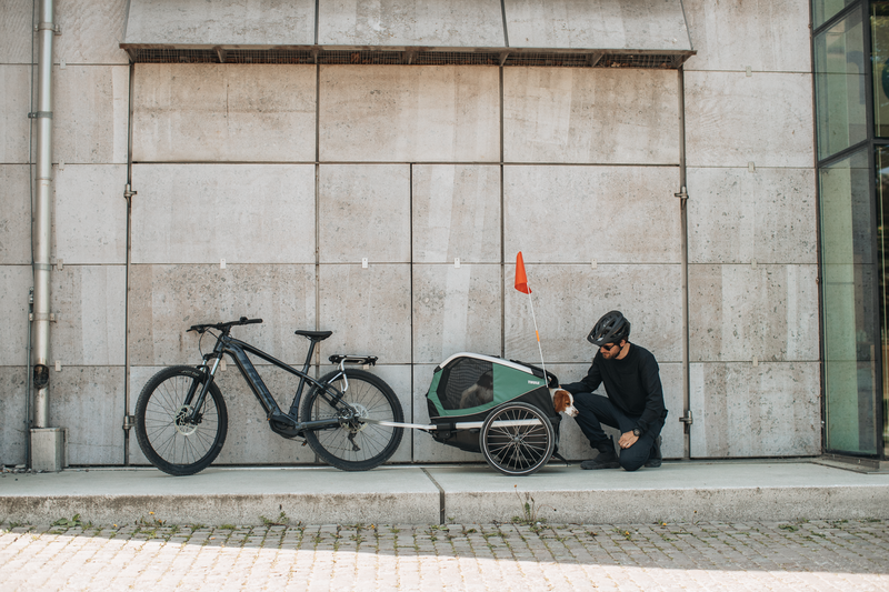 thule bexey hazy green large