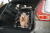 thule dog crate bumper protector standard