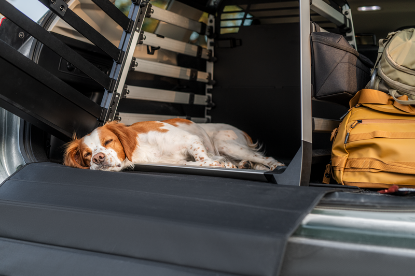 thule dog crate bumper protector standard