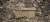Picture of DECKED Payloader 32 - Tan