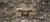 Picture of DECKED D-co Case Halfrack 32 - Tan