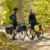 Picture of Thule Shield Pannier 13L 2-Pack Black