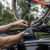 Picture of Thule TopRide Bike Rack