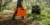 Picture of DECKED D-co Case Halfrack 32 - Blaze Orange