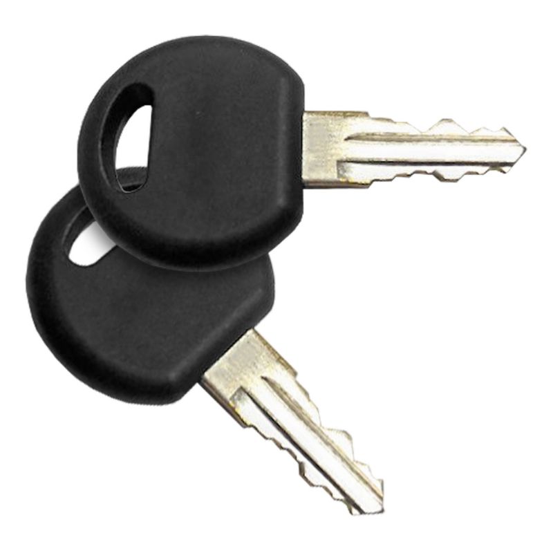 Picture of Curt Replacement Keys for 18088 Aluminum Bike Rack (201 Lock Cylinder) - 19266-01