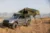 Picture of Roam Adventure Vagabond Rooftop Tent - Standard - Forest Orange - With Annex