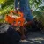 Picture of DECKED IFAK Kit