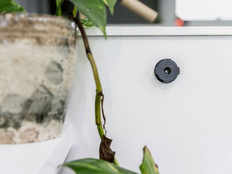 Picture of Quad Lock Adhesive Wall Mount (Twin Pack) (V2)