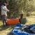 Picture of DECKED Payloader 133 Storage Bin - Blaze Orange (2-Pack)