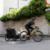 Picture of Thule Chariot Sport 2 Single Black